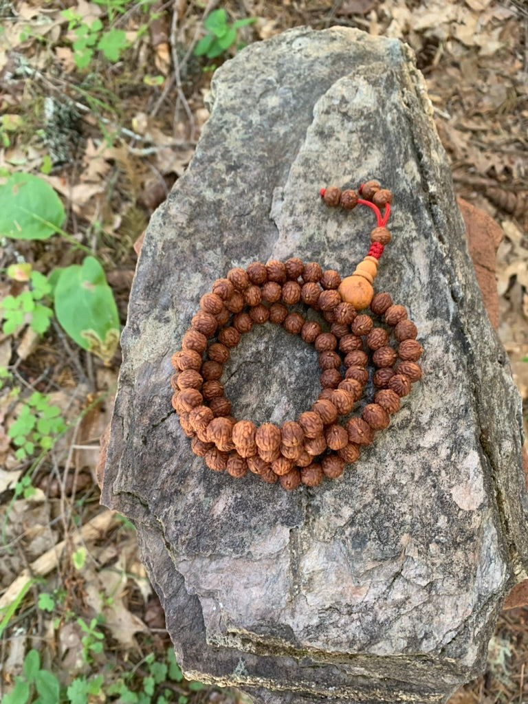 108 Phoenix Eye Raktu Seed Japa Mala Necklace - Himalayan Meditation Beads