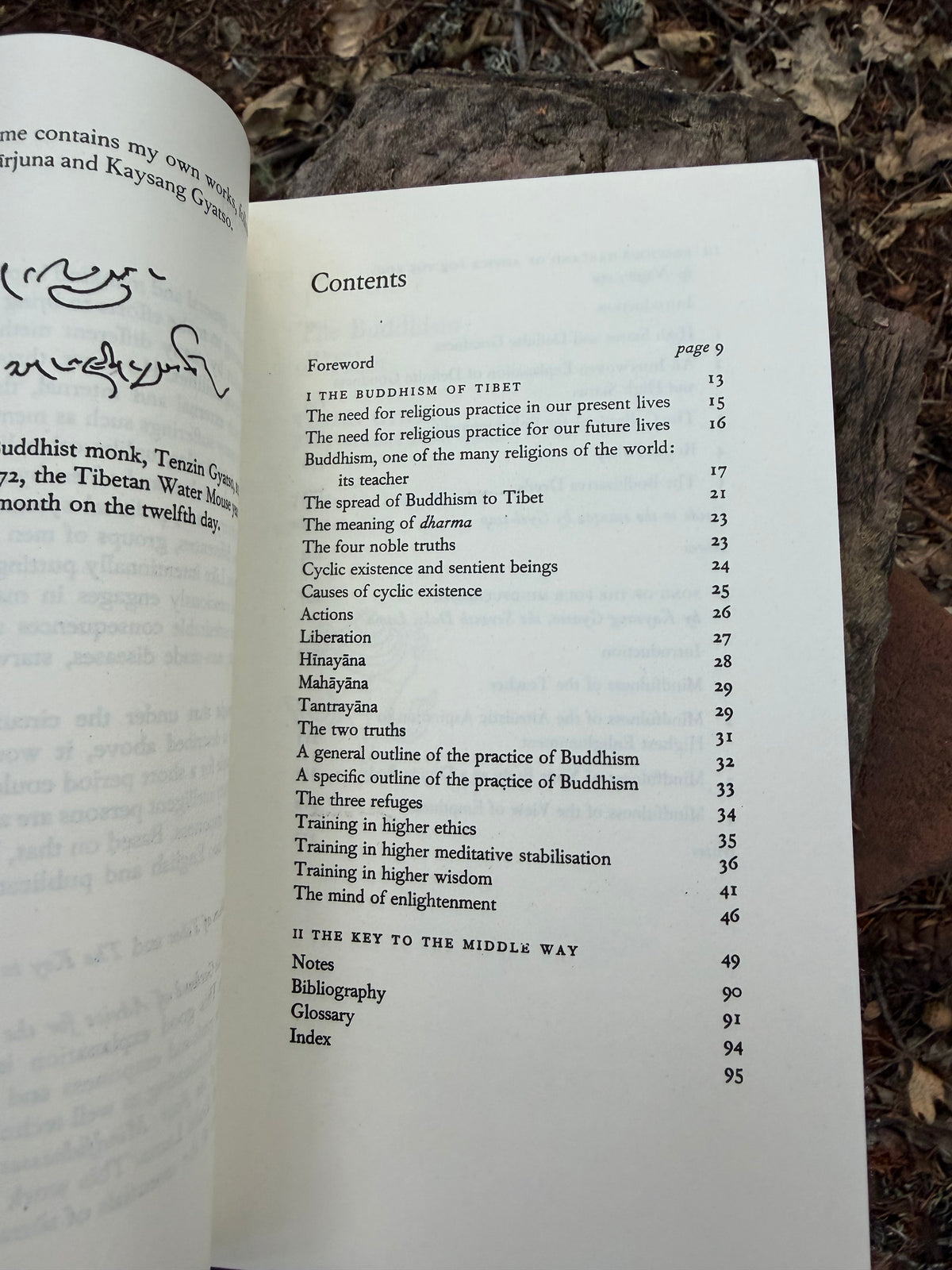 The Buddhism of Tibet - Combined Volume - The Dalai Lama | Vintage Book
