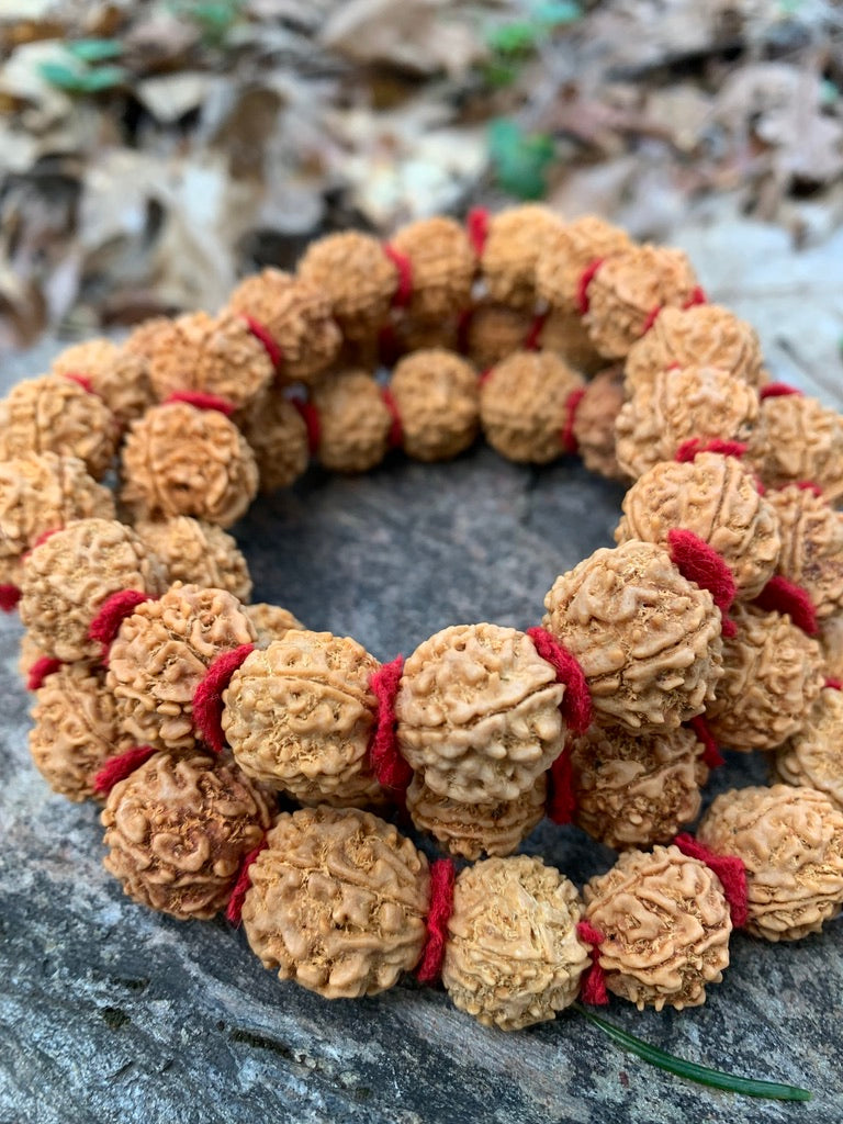 XL Rudraksha Japa Mala - 108 or 54 Bead - Light Color
