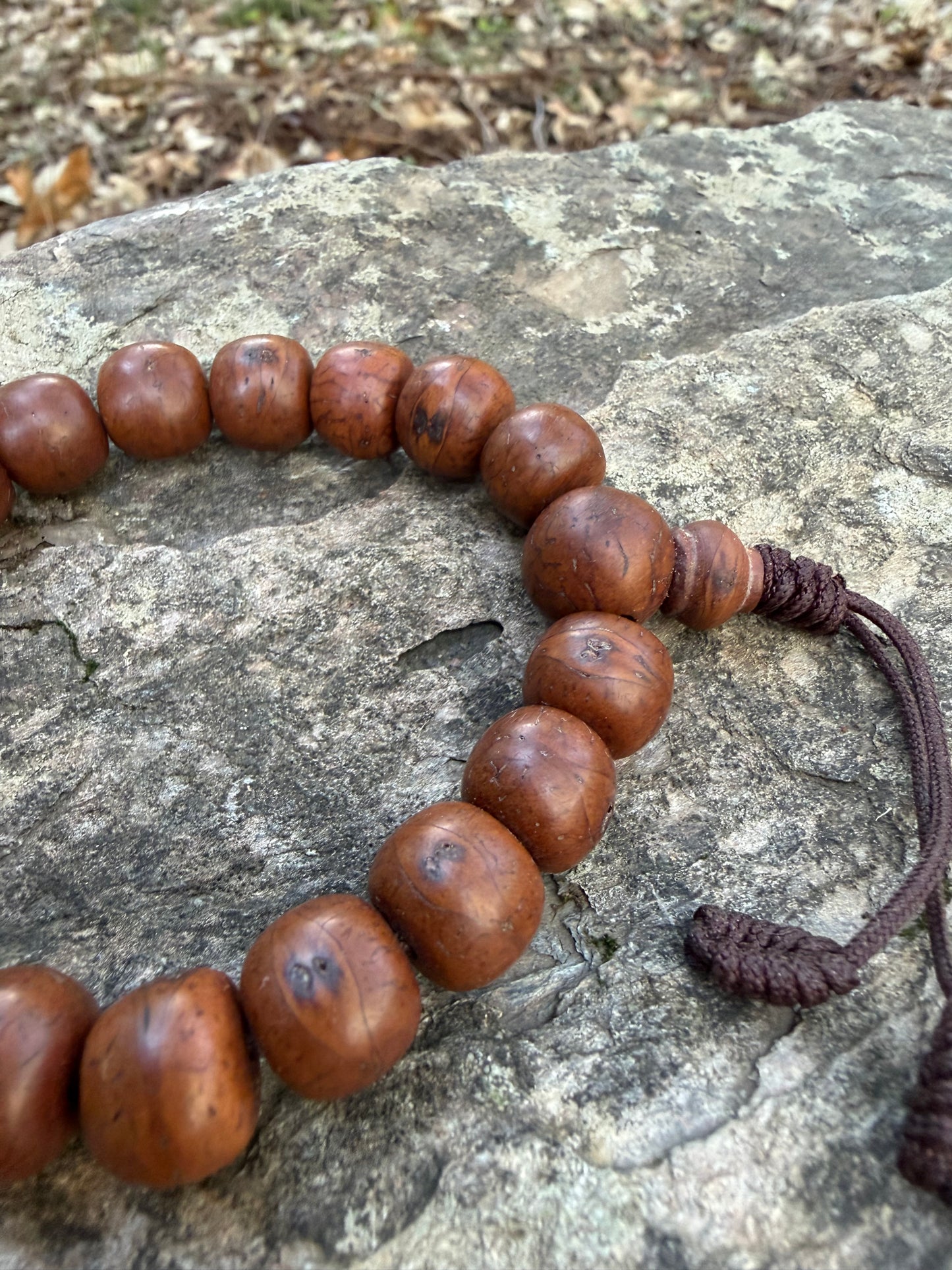 Special Dark Bodhi Seed Bracelet – Himalayan Meditation Wrist Mala