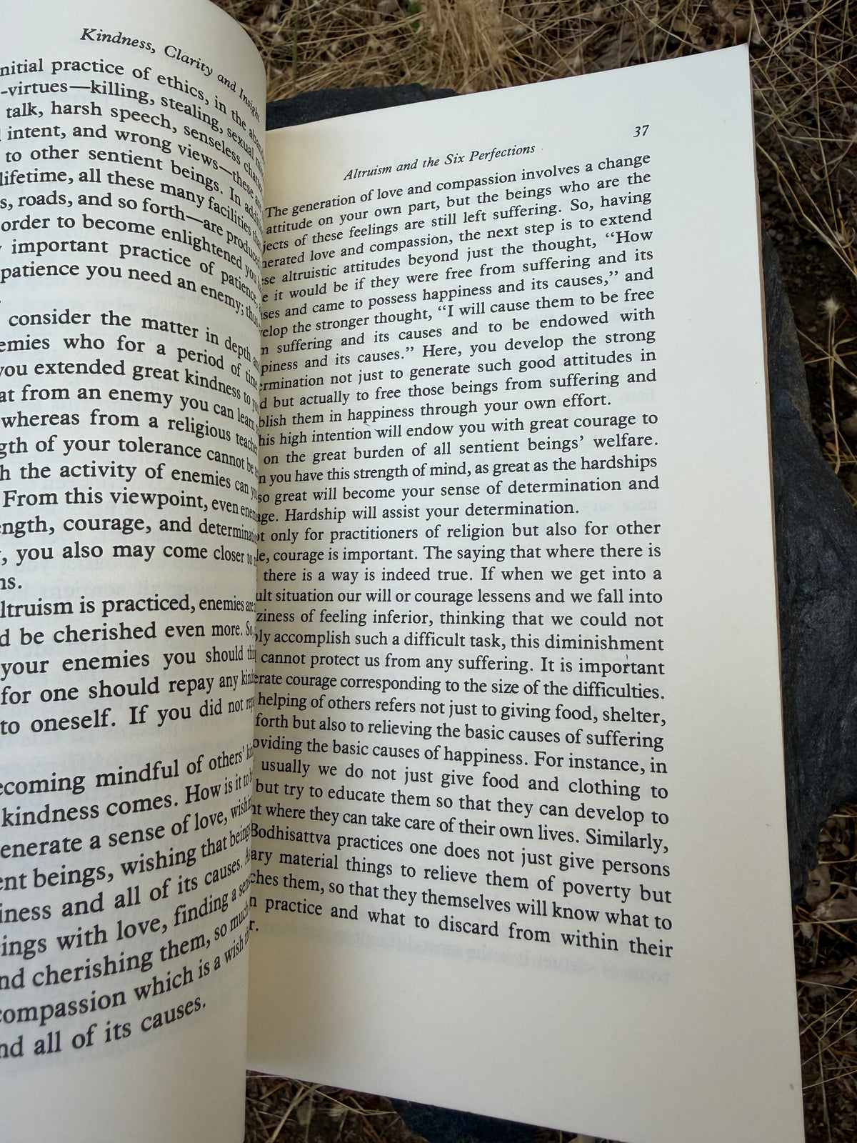 Kindness, Clarity, and Insight - The Dalai Lama | Vintage Book