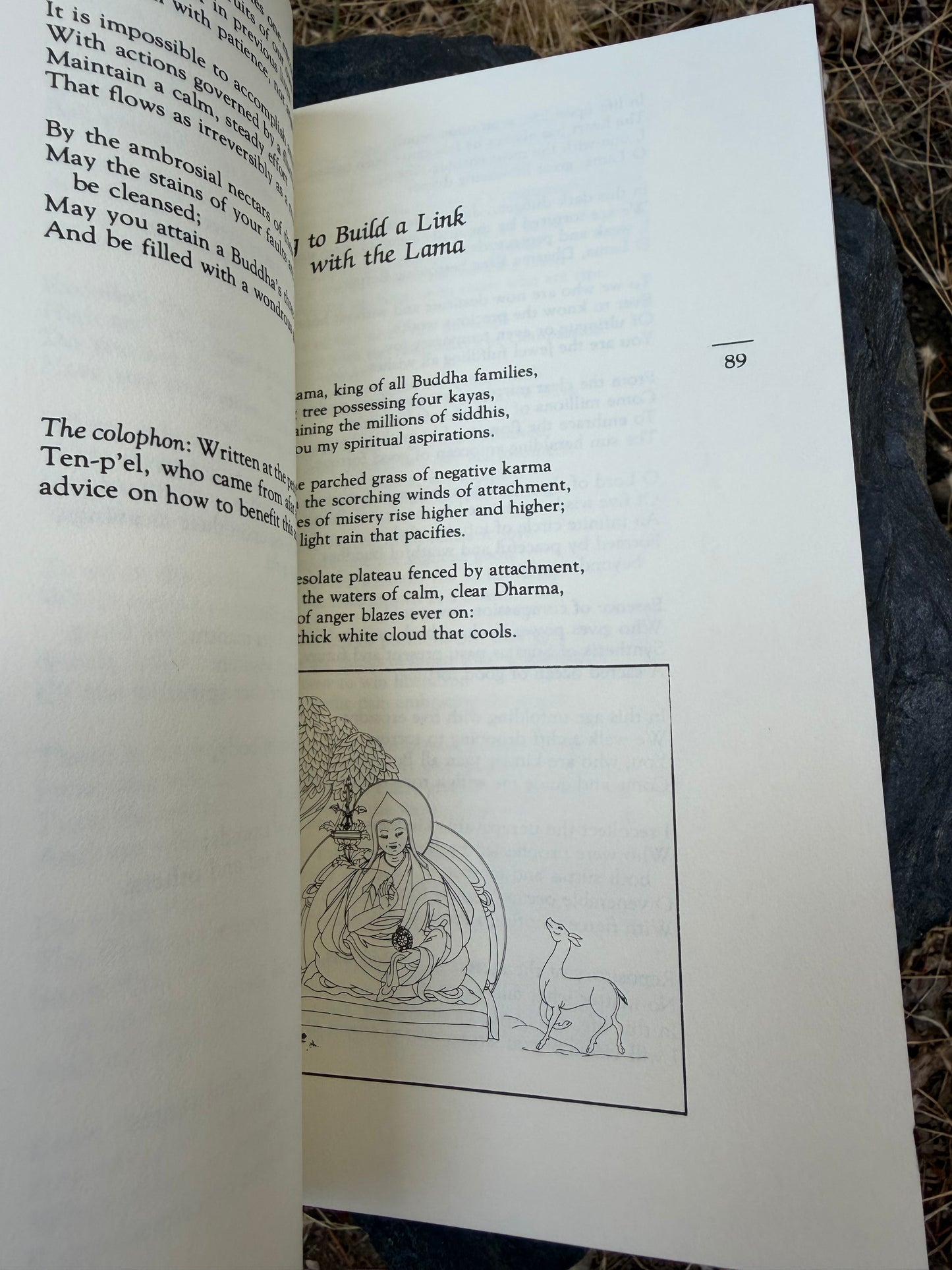 Selected Works of the Dalai Lama 7 - Songs of Spiritual Change | Vintage Book