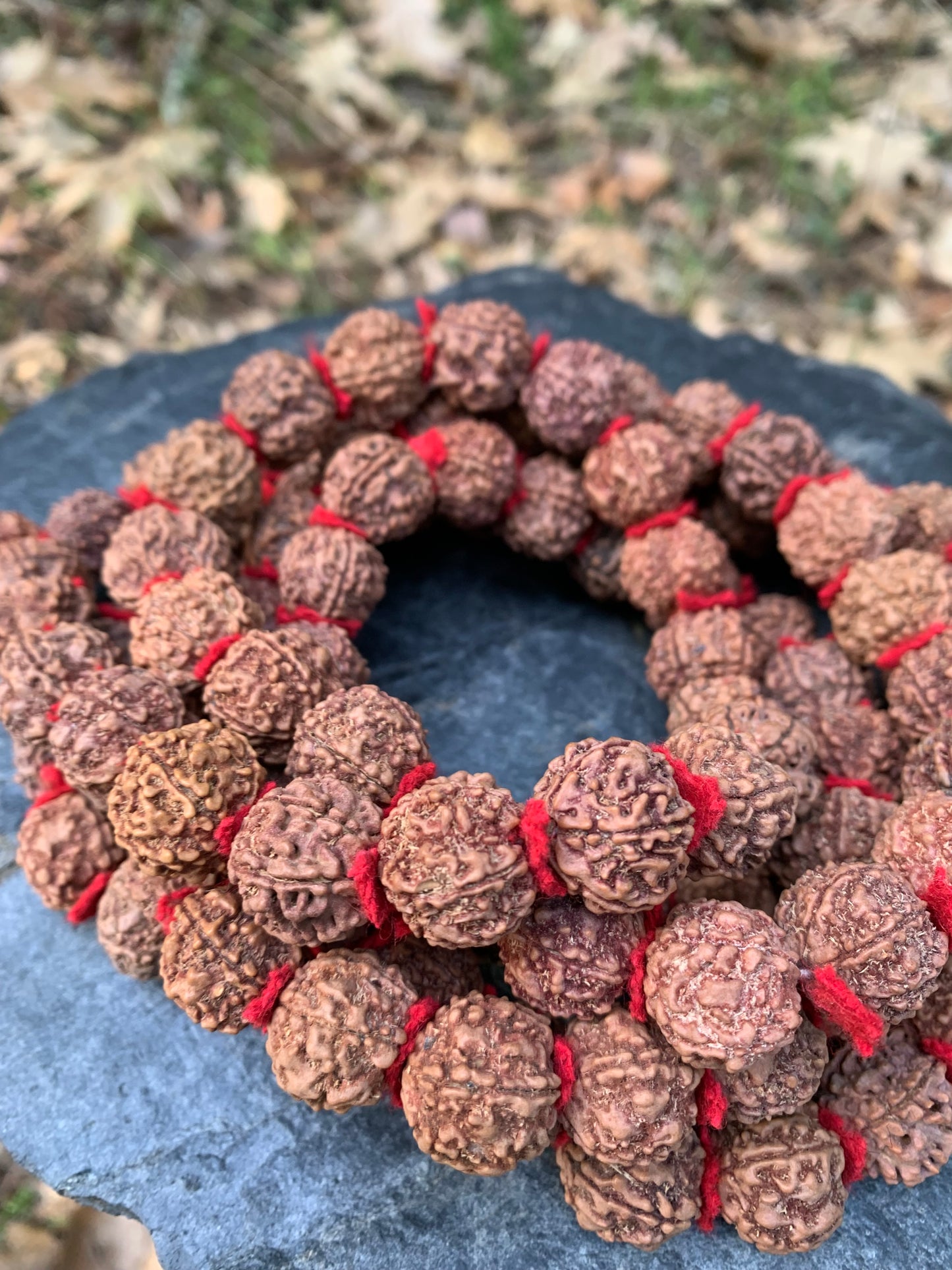 XL Rudraksha Japa Mala - 108 or 54 Bead - Dark Color