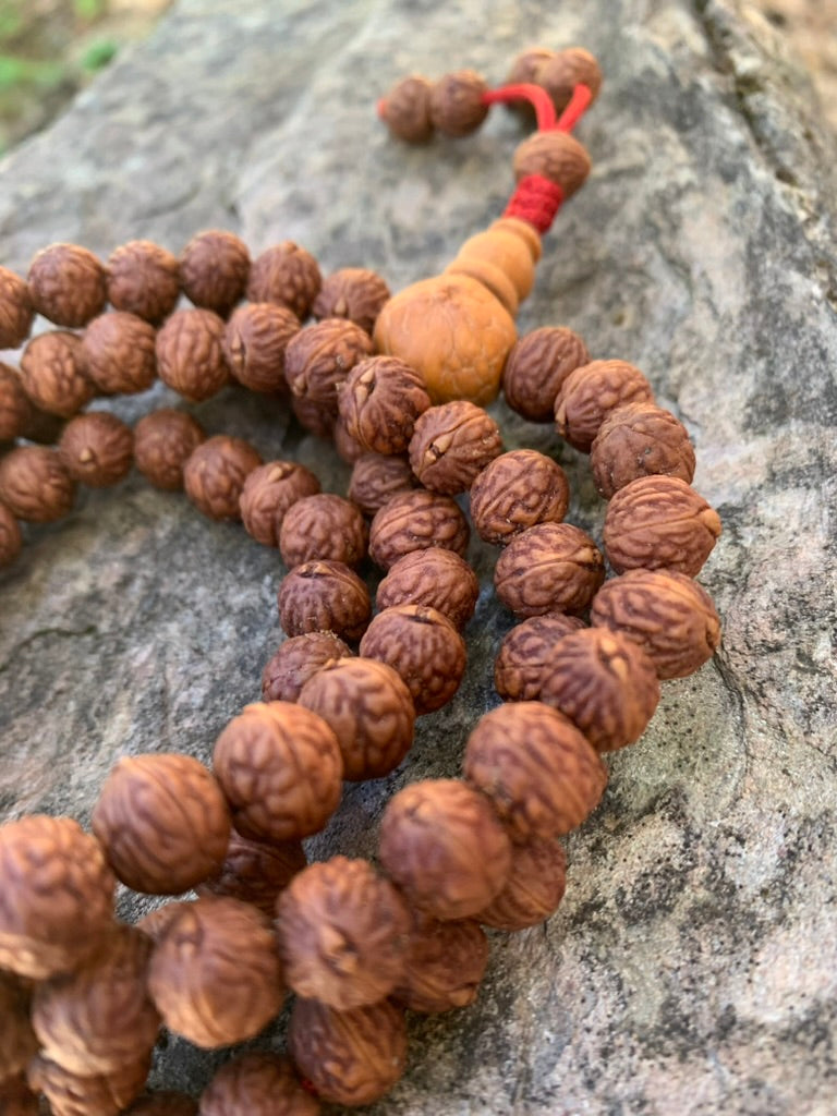 108 Phoenix Eye Raktu Seed Japa Mala Necklace - Himalayan Meditation Beads