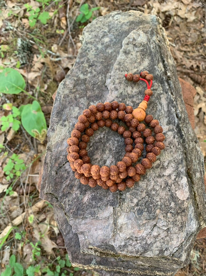 108 Phoenix Eye Raktu Seed Japa Mala Necklace - Himalayan Meditation Beads