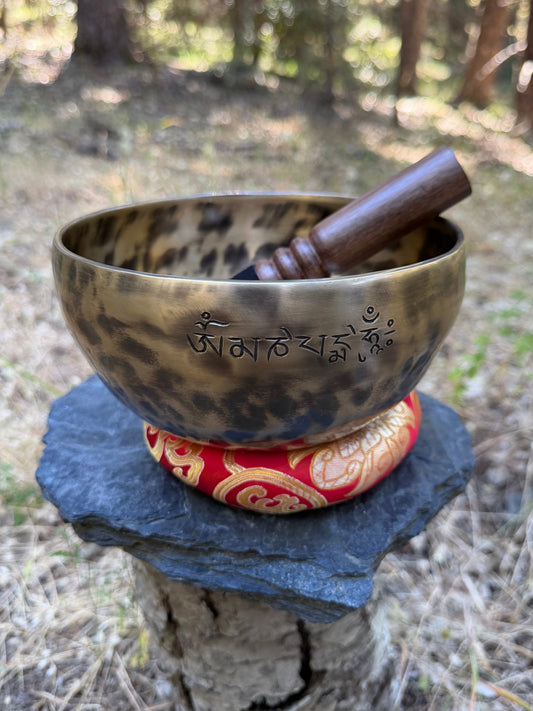 Traditional Nepalese meditation singing bowl