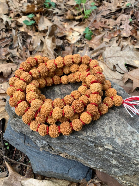 rudraksha seed mala