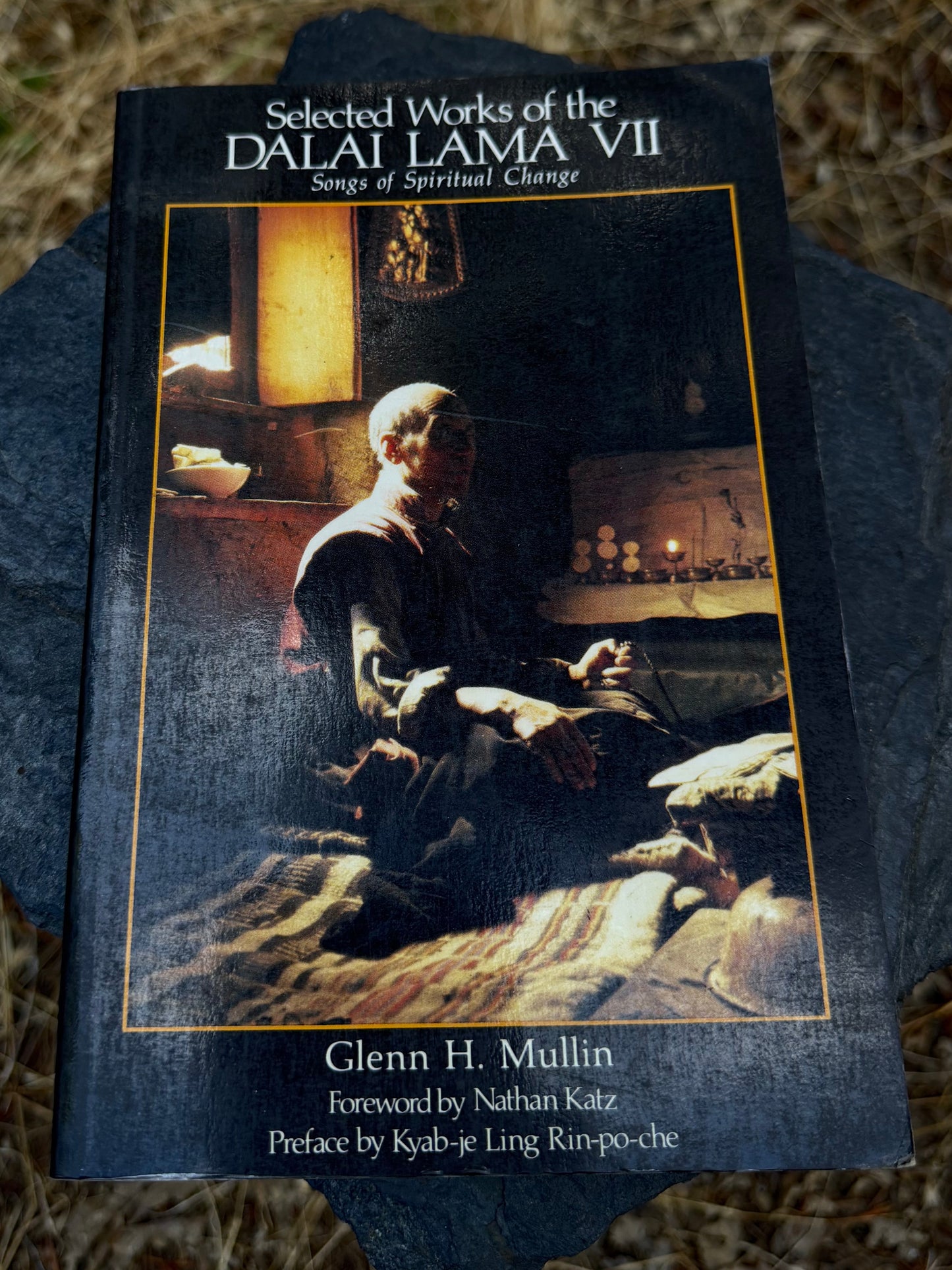 Selected Works of the Dalai Lama 7 - Songs of Spiritual Change | Vintage Book