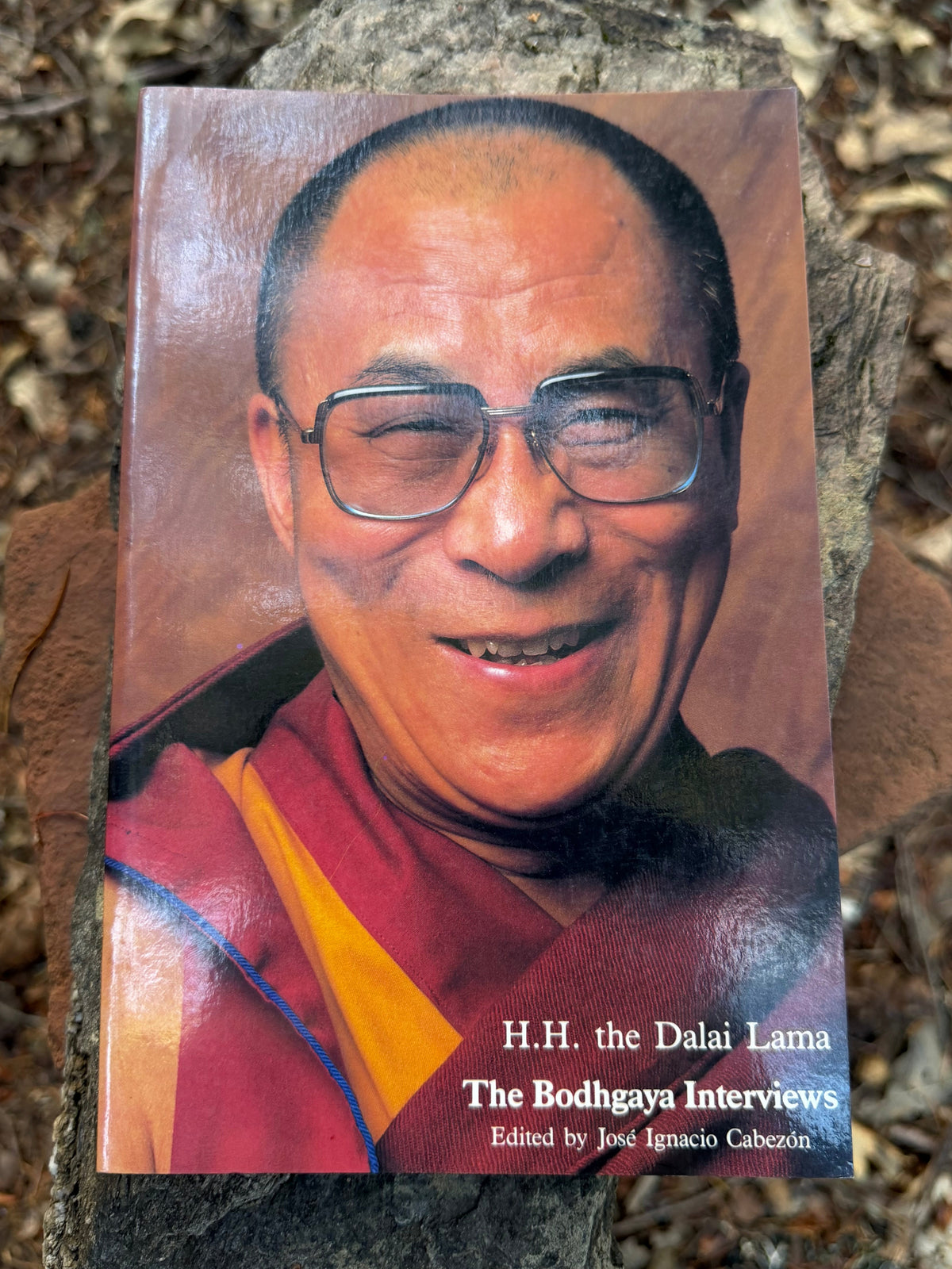 The Bodh Gaya Interviews - The Dalai Lama