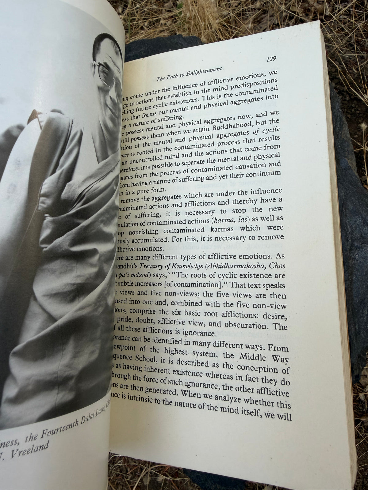 Kindness, Clarity, and Insight - The Dalai Lama | Vintage Book