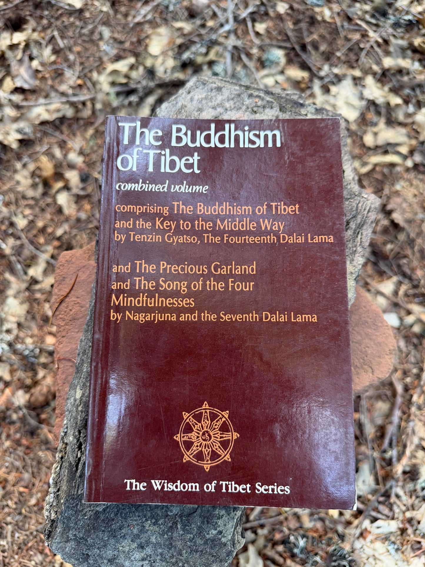 The Buddhism of Tibet - Combined Volume - The Dalai Lama | Vintage Book