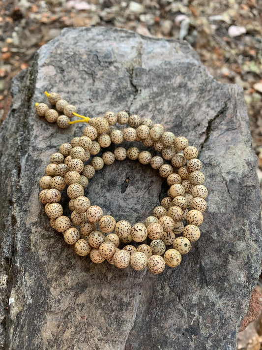 Lotus Seed Japa Mala Necklace