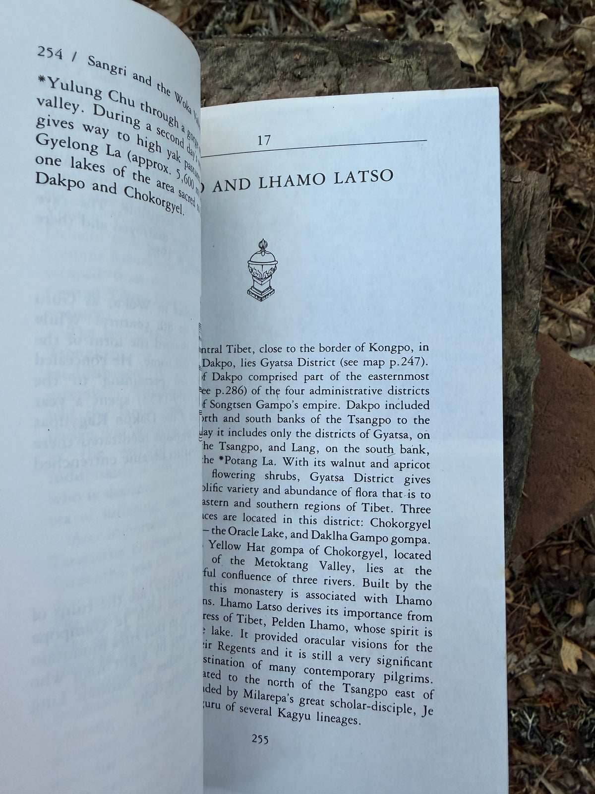 The Power Place of Central Tibet - The Pilgrim’s Guide | Vintage Book