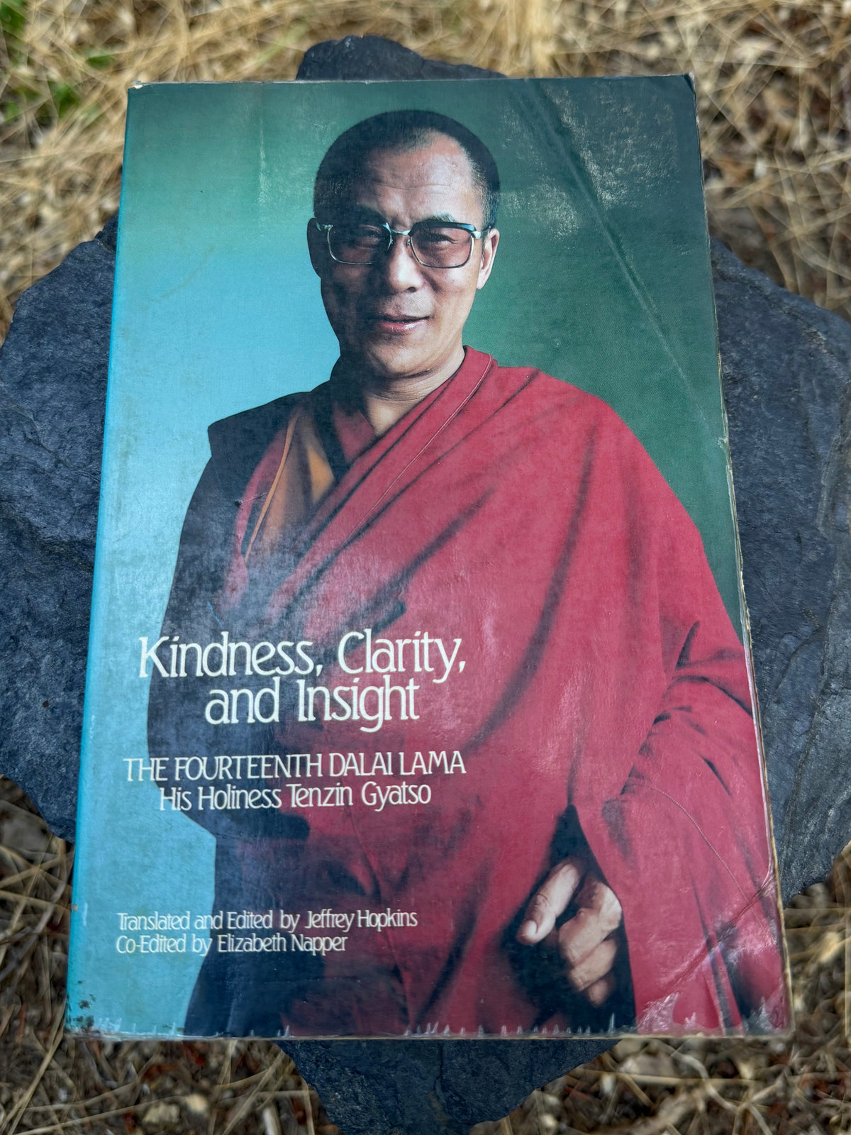 Kindness, Clarity, and Insight - The Dalai Lama | Vintage Book