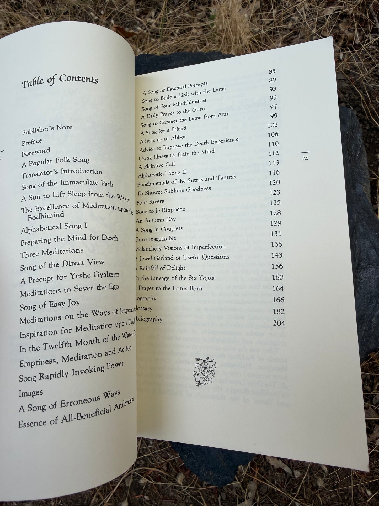 Selected Works of the Dalai Lama 7 - Songs of Spiritual Change | Vintage Book