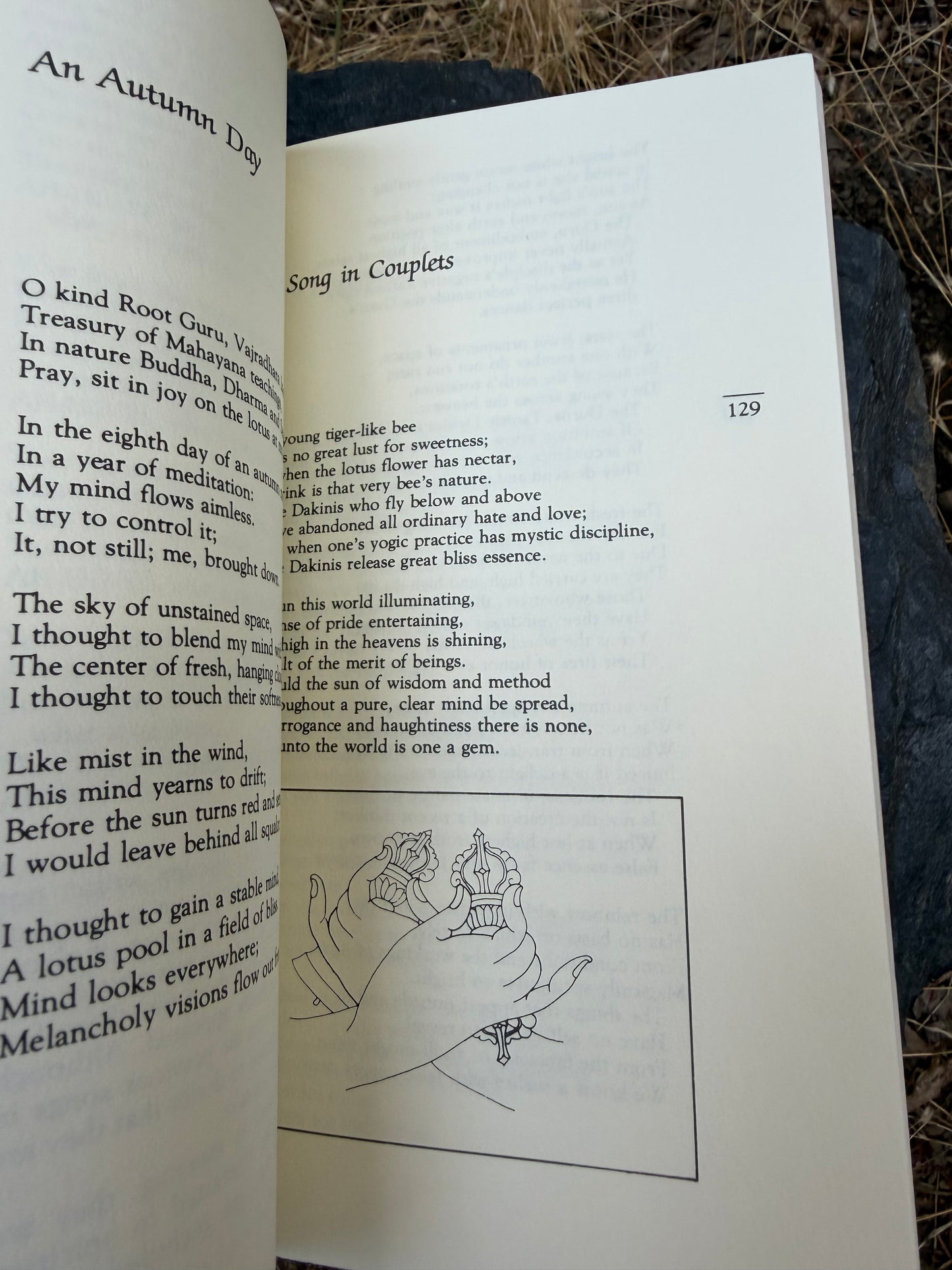 Selected Works of the Dalai Lama 7 - Songs of Spiritual Change | Vintage Book