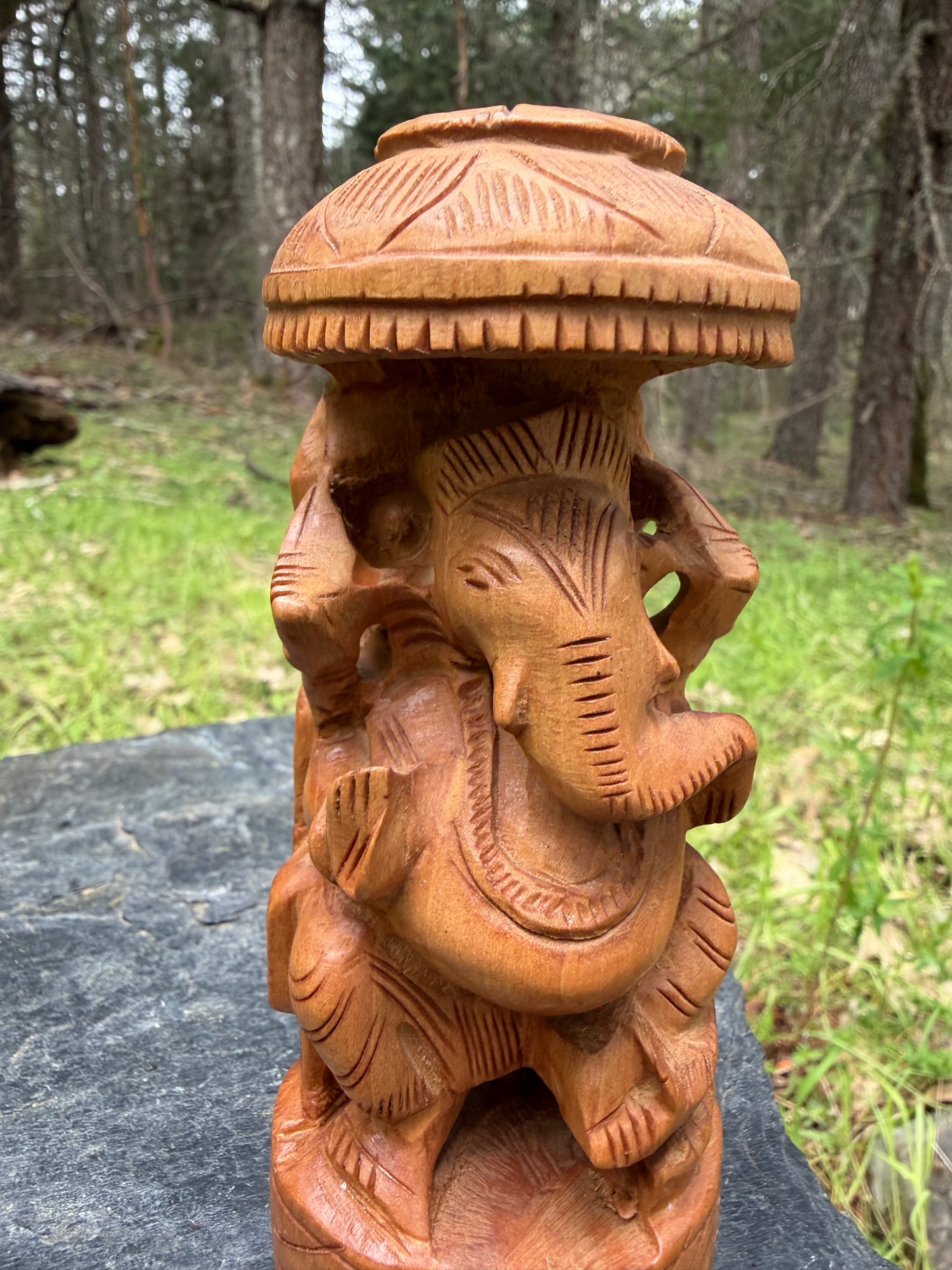 Lord Ganesha Under Chhatri - Handcrafted Kadamba Wood Ganesh Statue