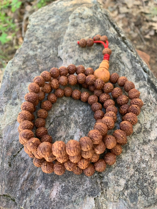 108 Phoenix Eye Raktu Seed Japa Mala Necklace - Himalayan Meditation Beads