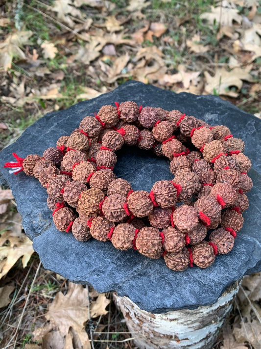 XL Rudraksha Japa Mala - 108 or 54 Bead - Dark Color